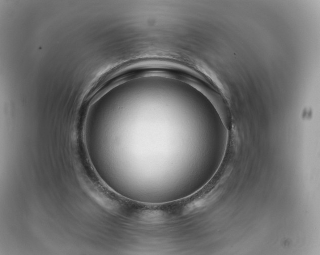 X0000091950203200709061247