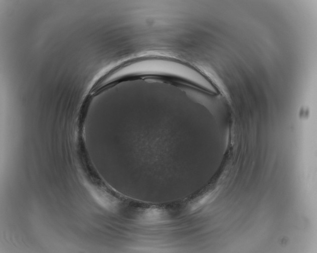 X0000091950204200709061247