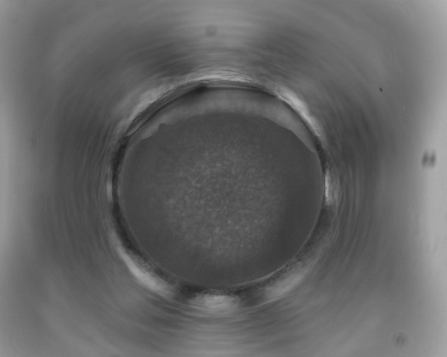 X0000091950205200709061247