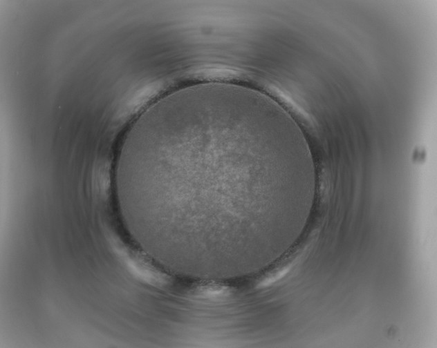 X0000091950206200709061247