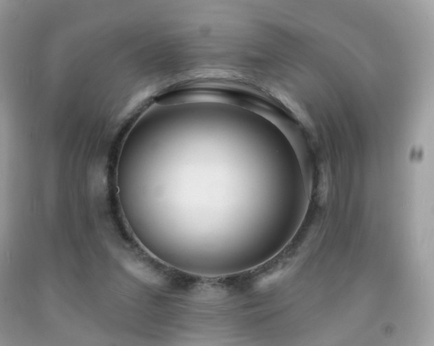 X0000091950207200709061247