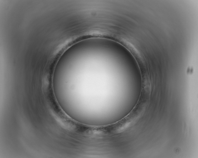 X0000091950208200709061247