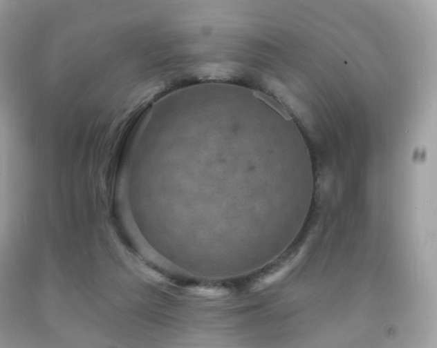 X0000091950209200709061247