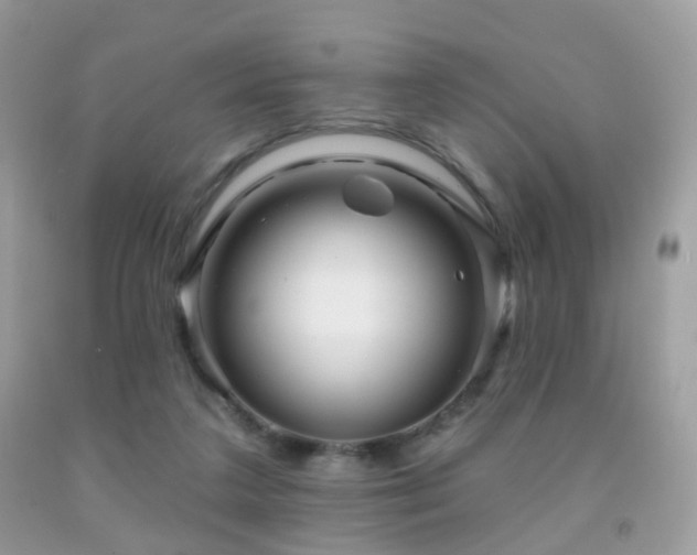 X0000091950211200709061247