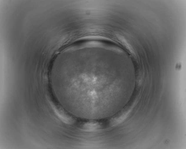 X0000091950213200709061247