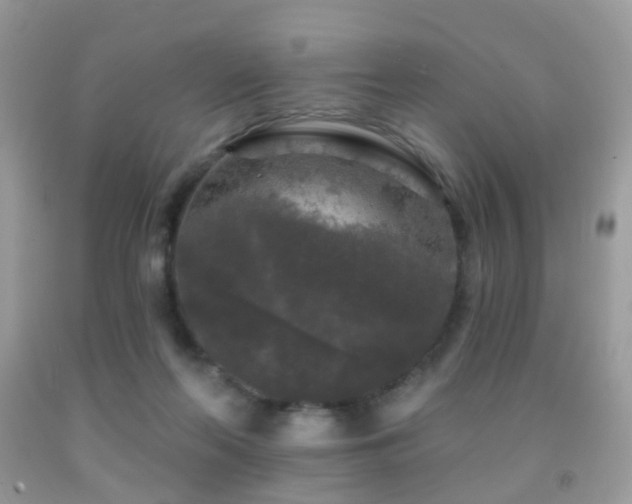 X0000091950214200709061247