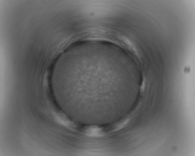 X0000091950217200709061247