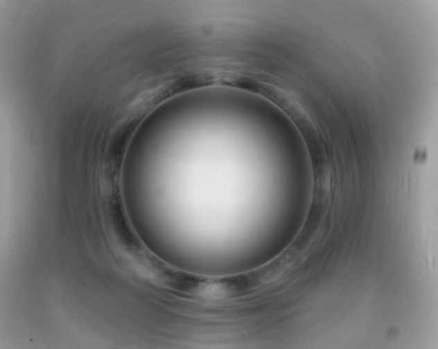 X0000091950218200709061247