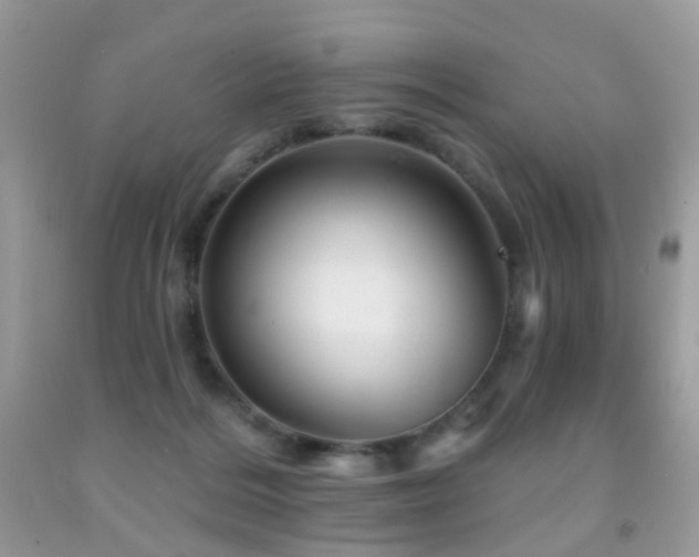 X0000091950220200709061247