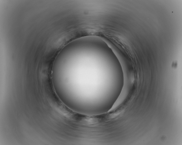 X0000091950221200709061247