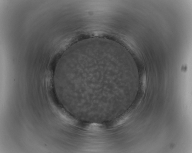X0000091950222200709061247