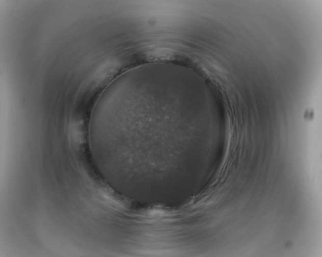 X0000091950224200709061247