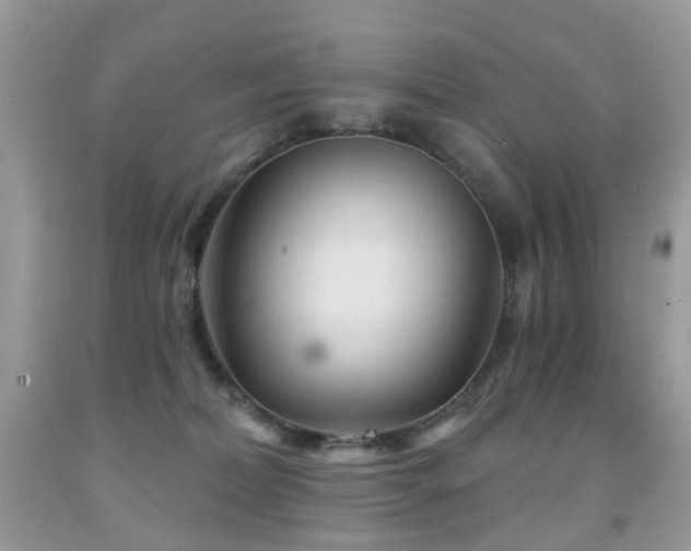 X0000091950228200709061247