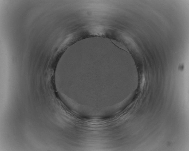 X0000091950229200709061247