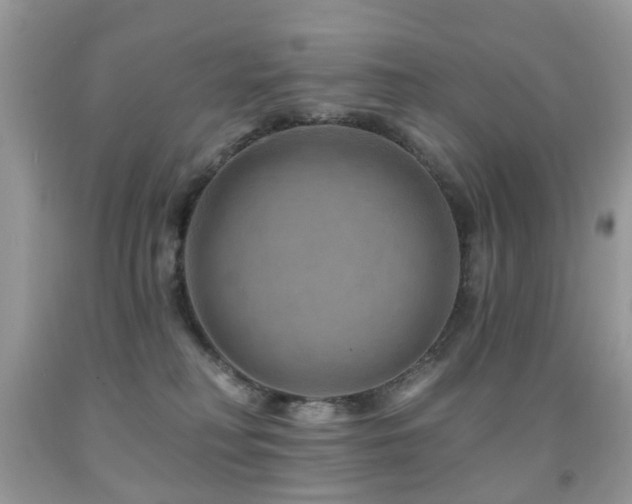 X0000091950230200709061247