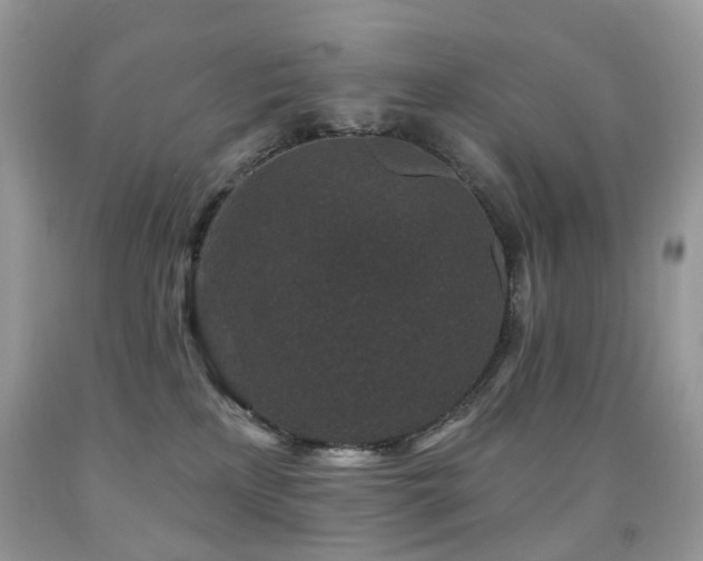 X0000091950233200709061247