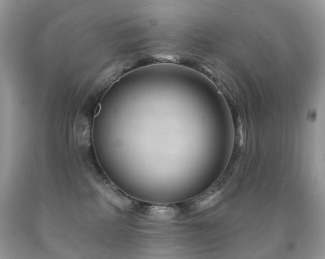 X0000091950234200709061247