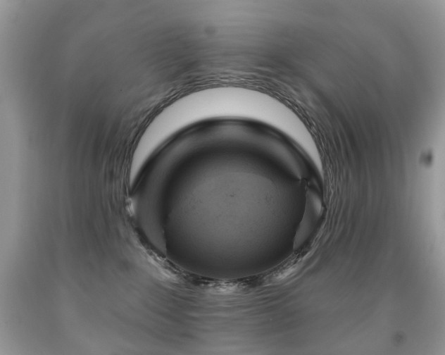 X0000091950235200709061247