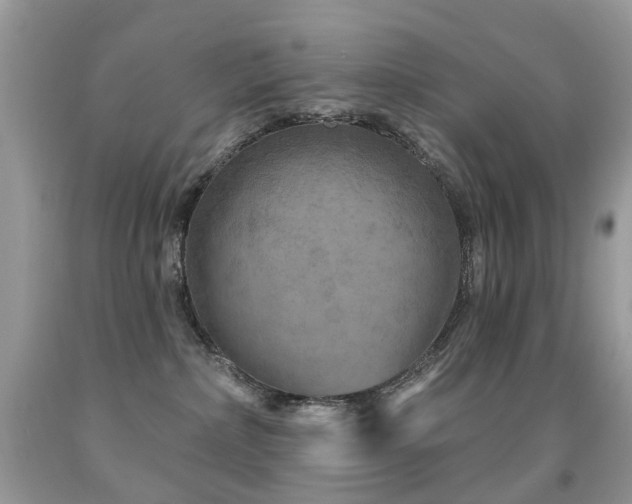 X0000091950236200709061247