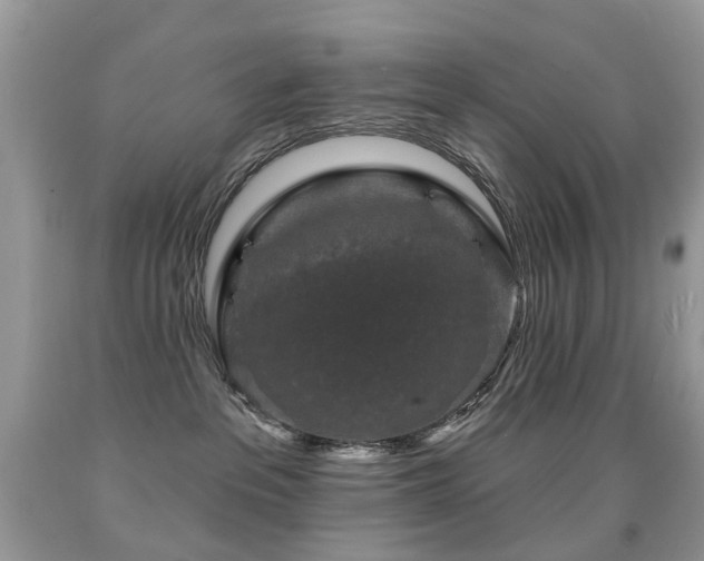X0000091950237200709061247