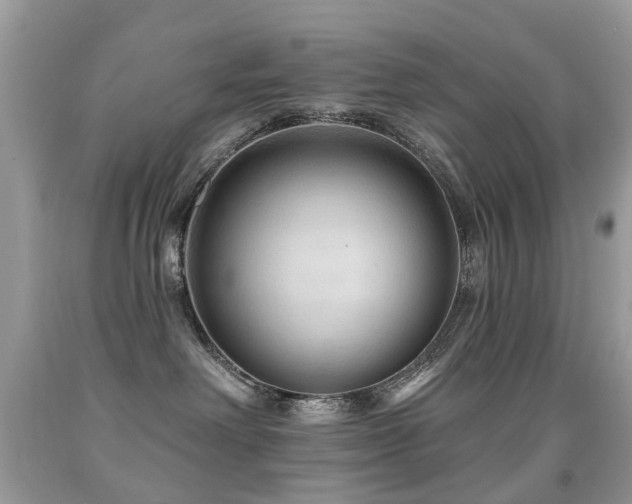 X0000091950238200709061247
