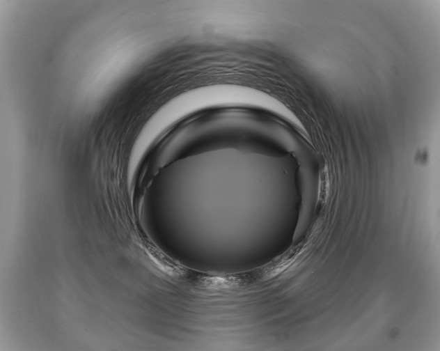 X0000091950239200709061247
