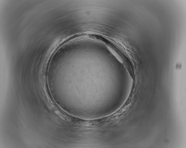 X0000091950241200709061246
