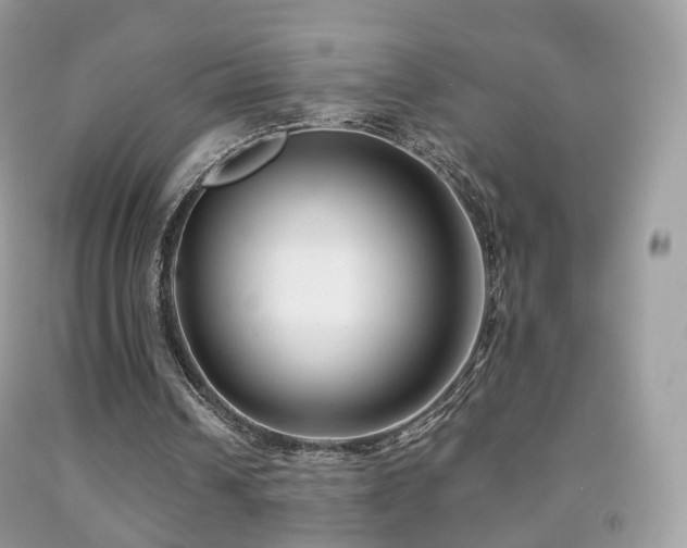 X0000091950242200709061246