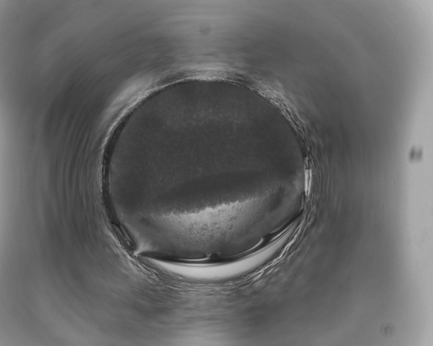 X0000091950243200709061246
