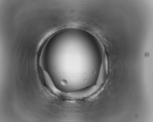 X0000091950244200709061246