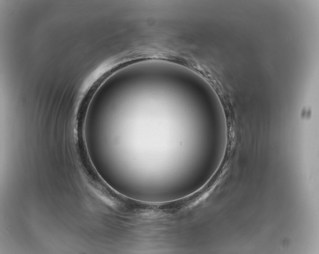 X0000091950246200709061246