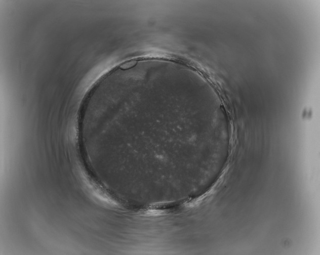 X0000091950247200709061246