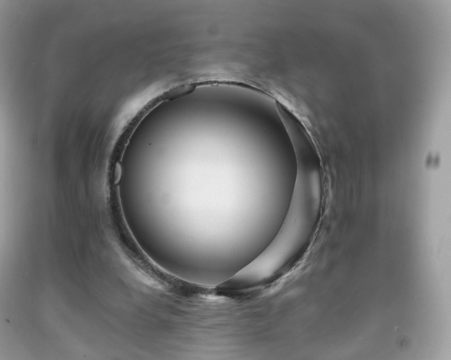 X0000091950248200709061246