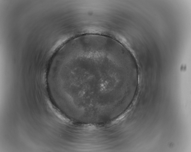 X0000091950249200709061246