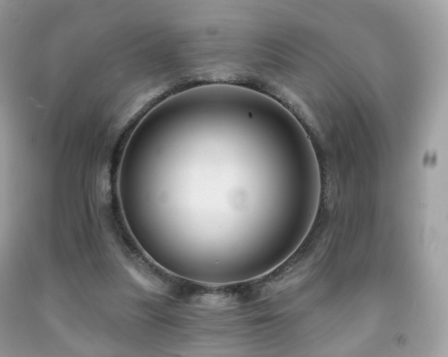 X0000091950251200709061246