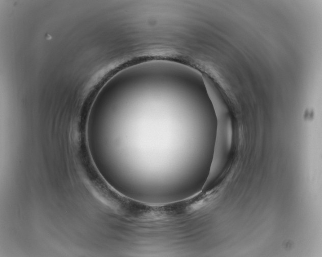X0000091950252200709061246