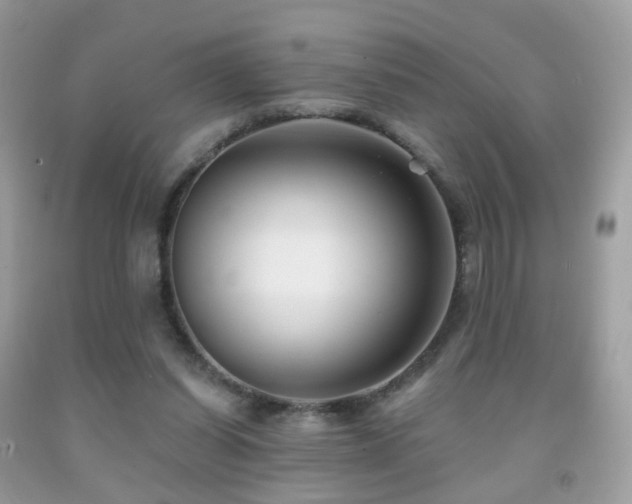 X0000091950254200709061246