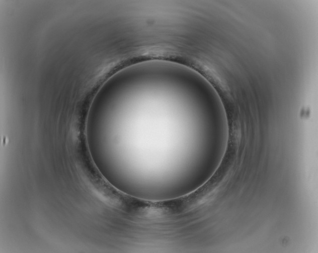 X0000091950255200709061246