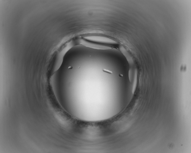 X0000091950256200709061246