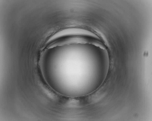 X0000091950257200709061246