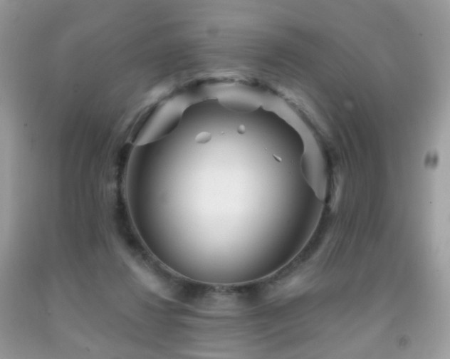 X0000091950260200709061246