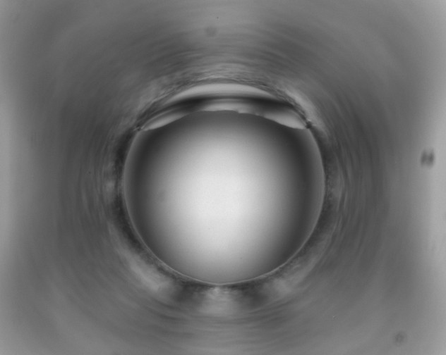X0000091950261200709061246