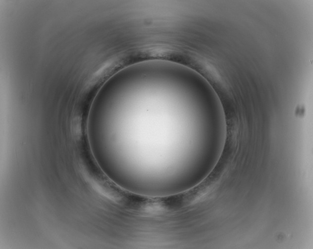 X0000091950262200709061246