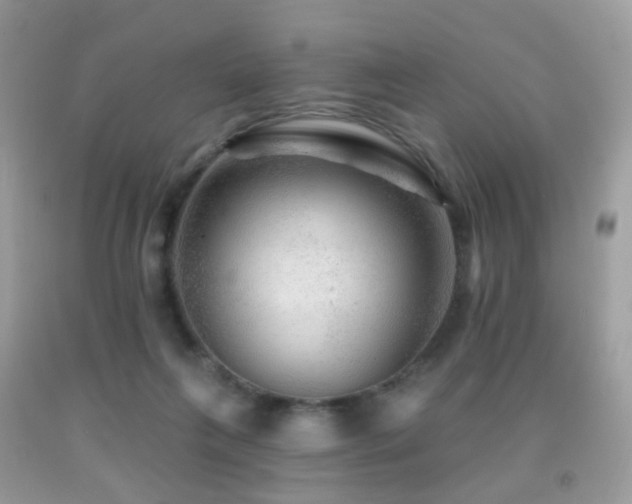X0000091950263200709061246