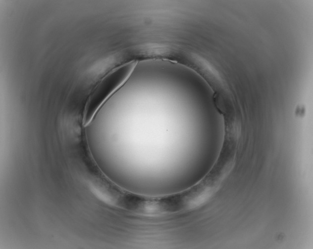 X0000091950264200709061246