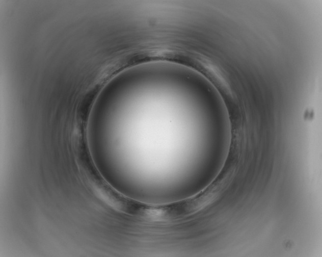 X0000091950265200709061246