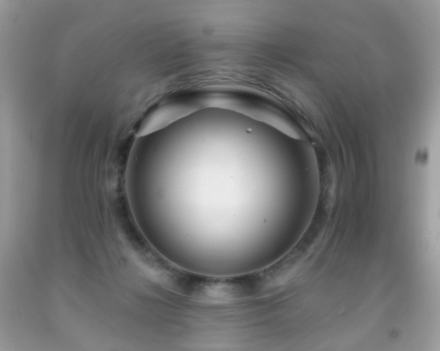 X0000091950268200709061247