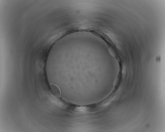 X0000091950269200709061247