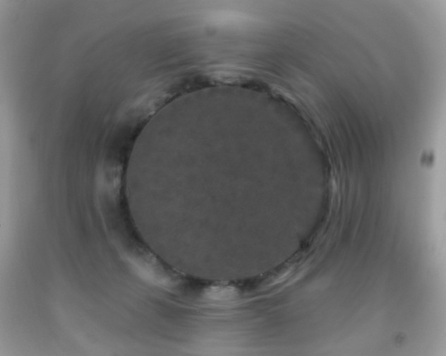 X0000091950271200709061247