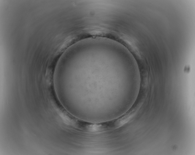 X0000091950273200709061247